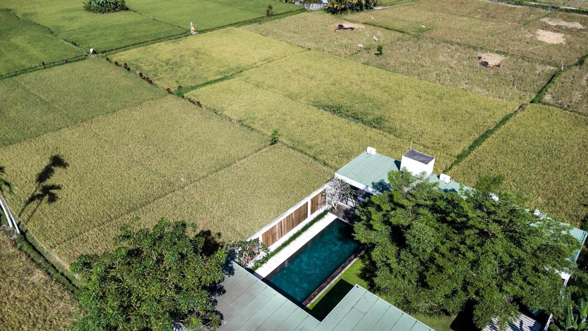 Willa Loft Matahari By Balisuperhost Ubud Zewnętrze zdjęcie